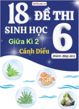 Tuyển tập 18 Đề thi giữa Kì 2 môn Sinh Học 6 sách Cánh Diều (Kèm đáp án)